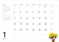 �V���v���J�����_�[flower(���)2015