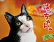 �͂������J�����_�[ 2015