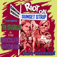 Standells / Chocolate Watchband/Riot On The Sunset Strip Revisited