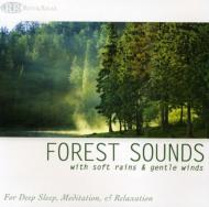 Forest Sounds With Soft Rains & Gentle Winds