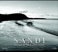 Before It All Fades Away