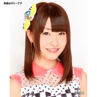 �����q�㗜 / 2015�N���J�����_�[