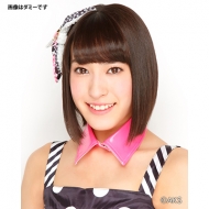 ���c仓� / 2015�N���J�����_�[