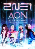 2014 2NE1 WORLD TOUR 〜ALL OR NOTHING〜in Japan (2DVD)