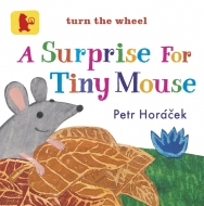 A Surprise For Tiny Mouse(m)