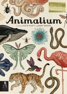 Animalium(m)