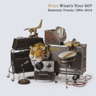 What's Your 20: Essential Tracks 1994-2014(2CD)