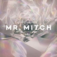 Mr Mitch/Parallel Memories