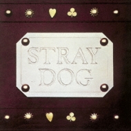 Stray Dog (v`ishm)