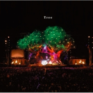 Tree (+DVD)[First Press Limited Edition]
