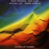 David Friedman/Shades Of Change (Rmt)(Ltd)
