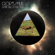 Gov't Mule/Dark Side Of The Mule (Jewelcase)