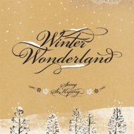󡦥/Winter Wonderland