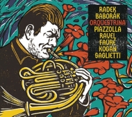 Radek Baborak : Orquestrina -Piazzolla, Ravel, Faure, L.Kogan, Saglietti