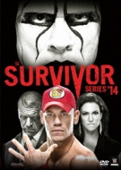 Wwe Survivor Series 2014