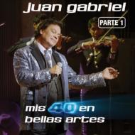 Juan Gabriel/Mis 40 En Bellas Artes Parte 1