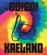¼/Kaela Presents Go!go! Kaeland 2014 -10years Anniversary-
