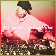 Terrence Parker/Mix The Vibe Terrence Parker Deeep Detroit