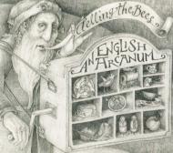 English Arcanum