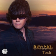 Toshl/ĤͼȤ (+dvd)