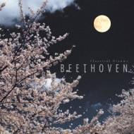 ԥ졼/Classical Dreams 8-beethoven
