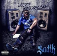 Liberte D'expression