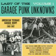 Various/Last Of The Garage Punk Unknowns 1