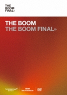 THE BOOM FINAL (DVD 3g)yʏՁz