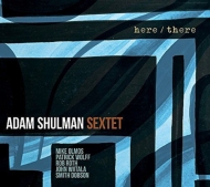 Adam Shulman/Here / There