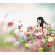 ࡹ/Angel Blossom