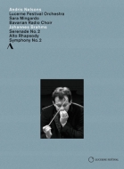 ブラームス（1833-1897）/Sym 2 Serenade 2 Alto Rhapsody： Nelsons / Lucerne Festival O Mingardo(A) (2014)