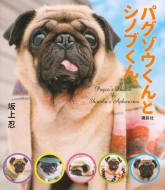 �p�O�]�E����ƃV�m�u����