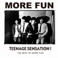 TEENAGE SENSATION!-THE BEST OF MORE FUN