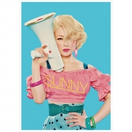 �|�X�^�[ �S�b�f�X�l �Ŗ��ь�