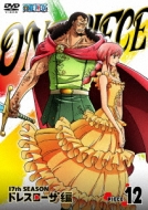 One Piece 17th Season Dressrosa Hen Piece.12