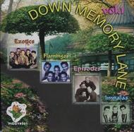 Various/Down Memory Lane V1 24 Cuts