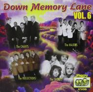 Various/Down Memory Lane V6 24 Cuts