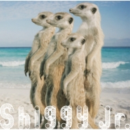 Shiggy Jr./ޡ (+dvd)(Ltd)