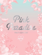 APINK 1ST CONCERT -PINK PARADISE-DVD