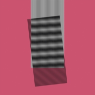 Hot Chip/Why Make Sense? (+12 Inch)(+downloadcode)(Ltd)