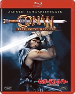 Conan The Destroyer