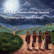 B. S.Q. BEATLES STRINGS QUARTET/Into The Daylight Vol.2