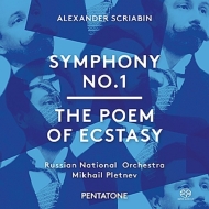 Symphonies Nos.1, 4 : Pletnev / Russian National Orchestra, Gembaczka(Organ)Shilova, Gubsky, etc (Hybrid)