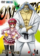 One Piece 17th Season Dressrosa Hen Piece.14