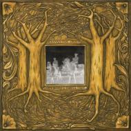 Under Branch & Thorn & Tree (200g)