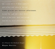 Wayne Horvitz/Some Places Are Forever Afternoon (11 Places For)