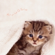 ԥ졼/ޤ뤴! GΥꥢ-air On The G String All Stars