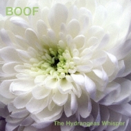 The Hydrangeas Whisper