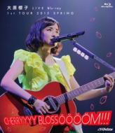 匴Nq@LIVE Blu-ray@Pst TOUR 2015 SPRING`CHERRYYYY BLOSSOOOOM!!!`(Blu-ray)
