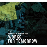 Eleventh Dream Day/Works For Tomorrow